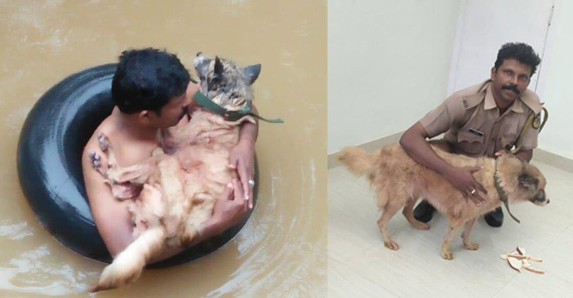 A touching tale of human-animal bond amid floods