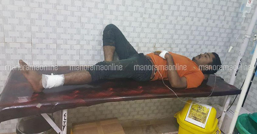 Karnataka forest officials fire at Keralite transporting cow and calf