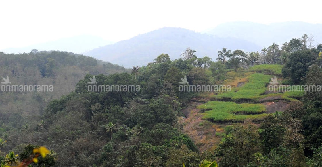 Gadgil vs Kasturirangan: Hard & soft shades of Green Gadgil vs Kasturirangan: Hard & soft shades of Green