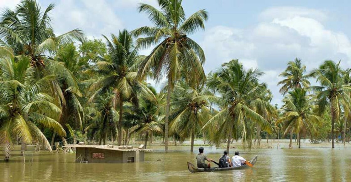 Kerala to assess impact of floods on biodiversity