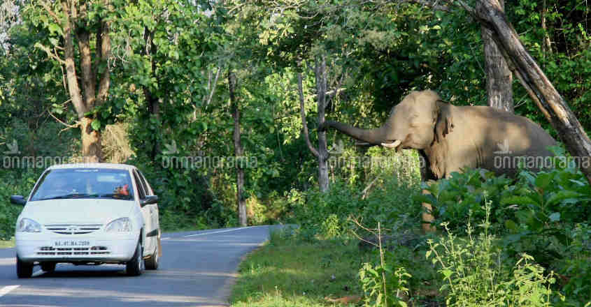 Forest land encroachers have a field day as govts dither on action Forest land encroachers have a field day as govts dither on action