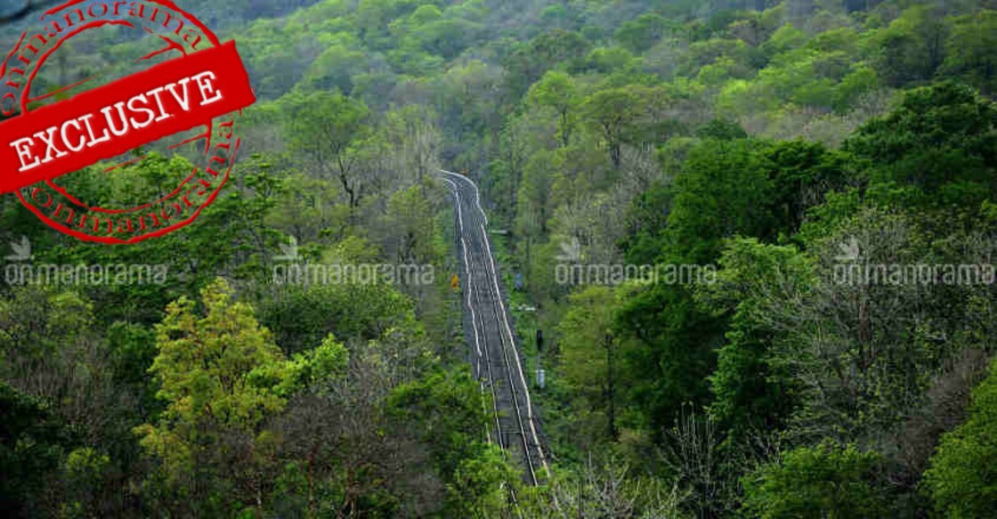 Forest land encroachers have a field day as govts dither on action Forest land encroachers have a field day as govts dither on action