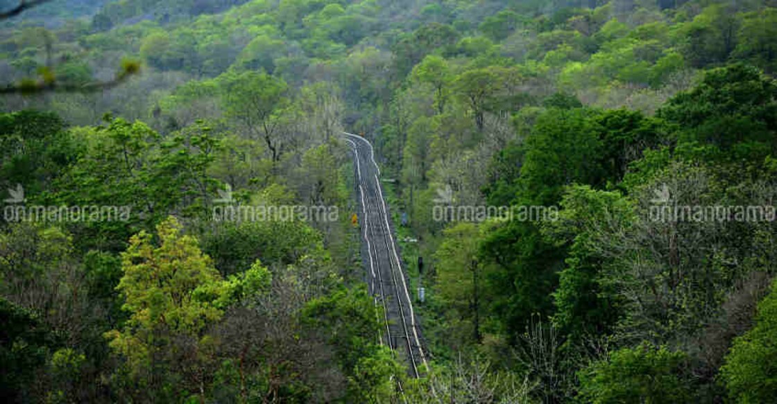 Over 100 acres reclaimed from encroachers in Vagamon, Munnar