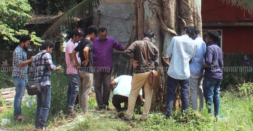 Ponnani's giant peepal tree will now live for time immemorial Ponnani's giant peepal tree will now live for time immemorial