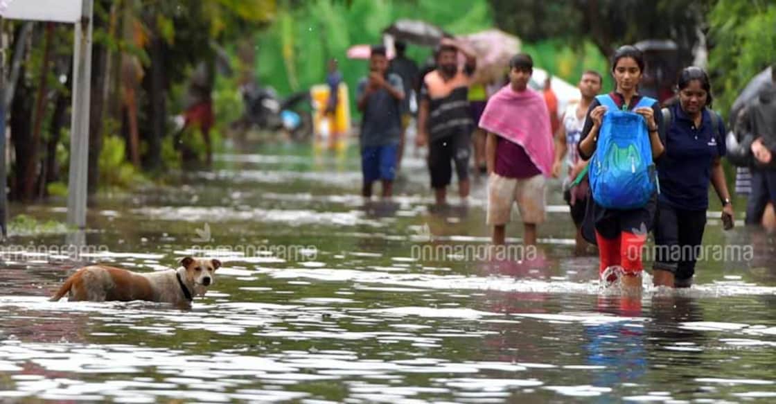 Beware Kerala, 20cm rain in 4 hours at Kochi reveals global warming's bare fangs