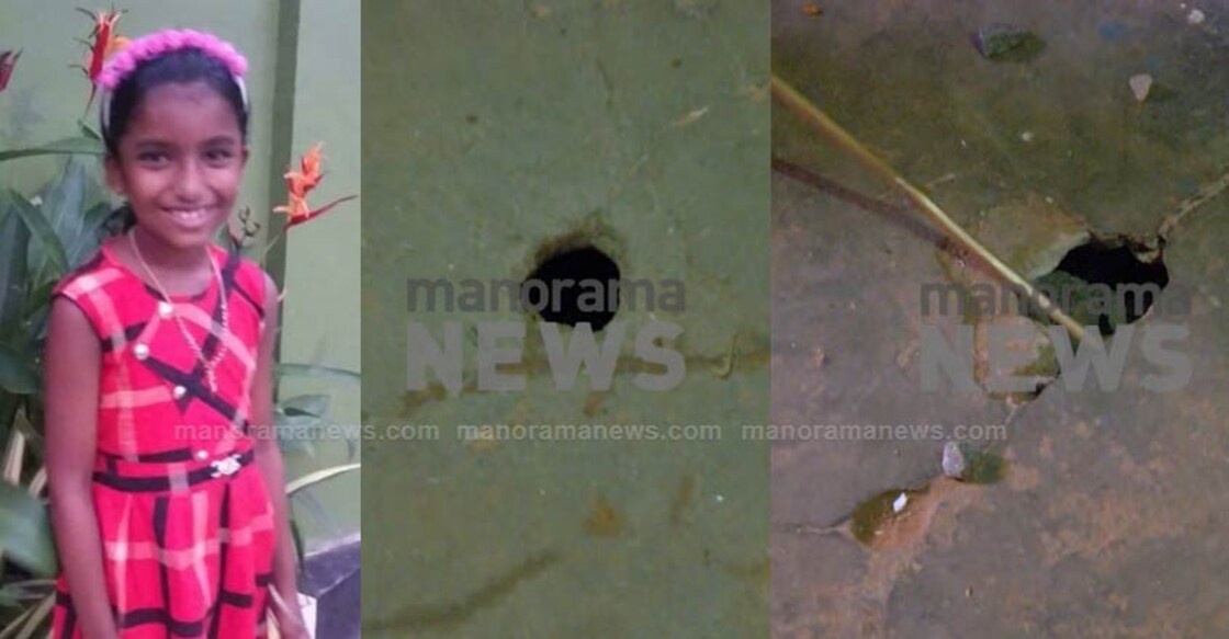 10-year-old dies of snakebite inside classroom in Wayanad