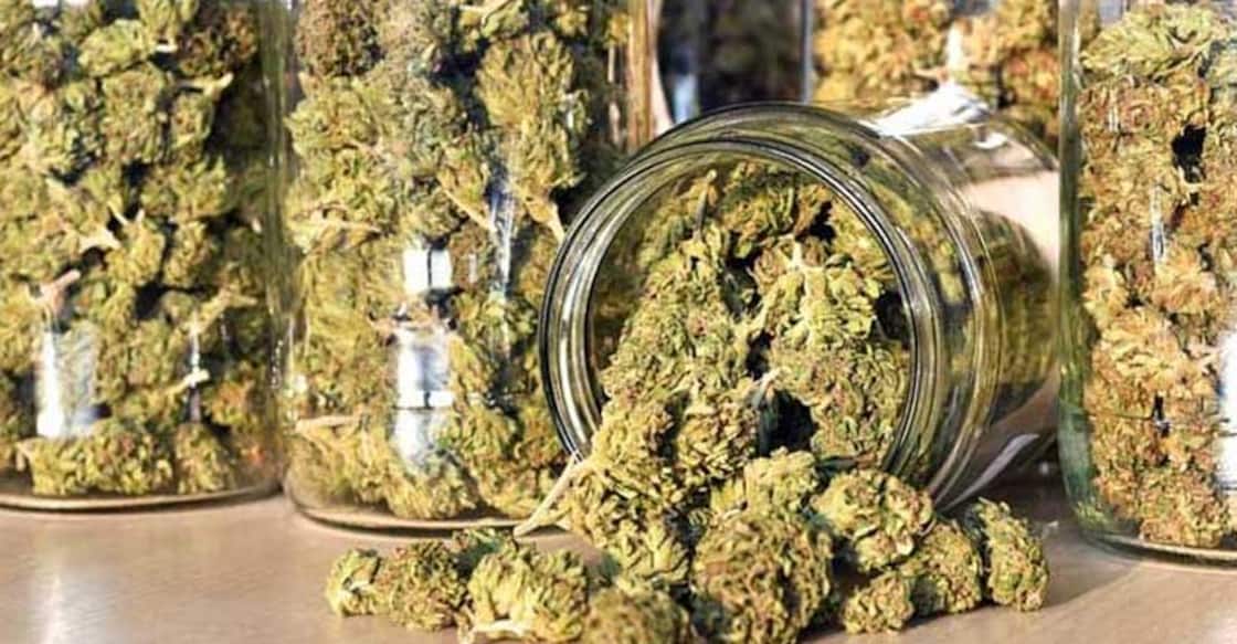 About 100 kg ganja seized in Thiruvananthapuram, 4 arrested