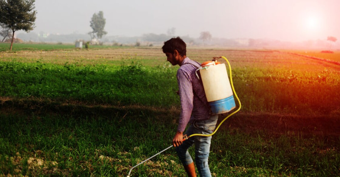 Kerala govt bans deadly weed killer 