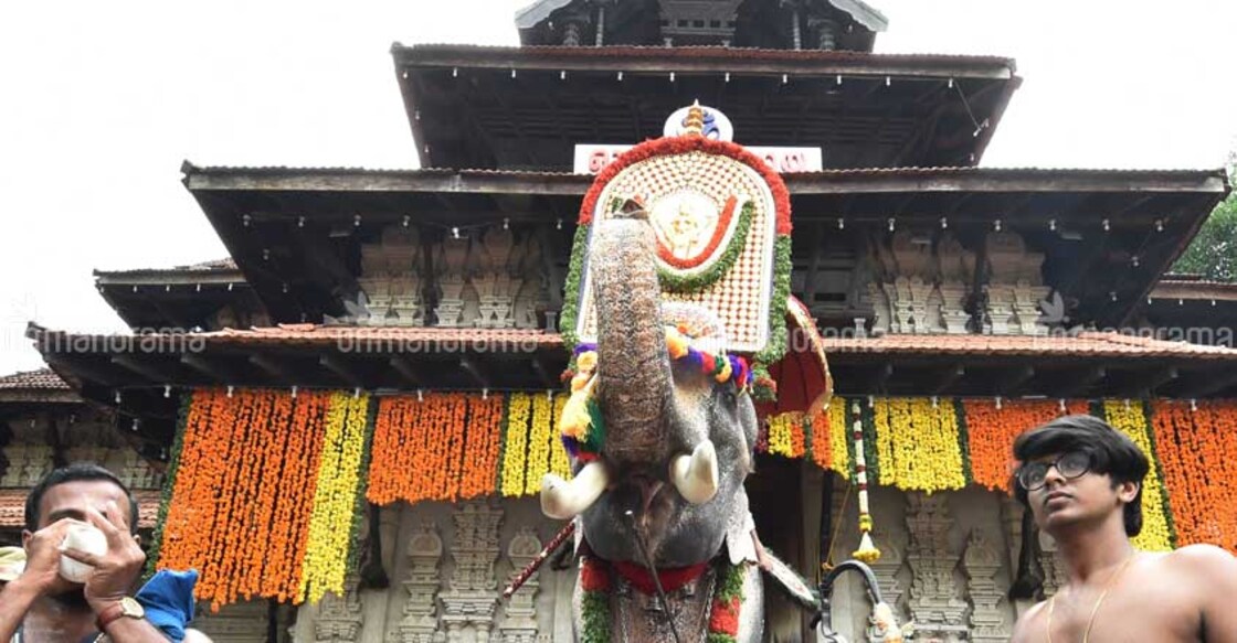 Tusker Ramachandran makes grand entry, heralding Thrissur Pooram Tusker Ramachandran makes grand entry, heralding Thrissur Pooram