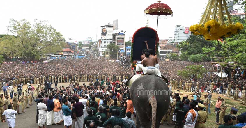 Tusker Ramachandran makes grand entry, heralding Thrissur Pooram Tusker Ramachandran makes grand entry, heralding Thrissur Pooram