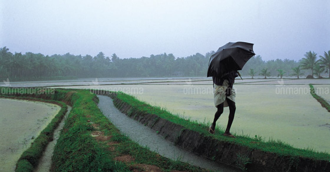 Monsoon likely to hit Kerala only on June 7: Skymet 