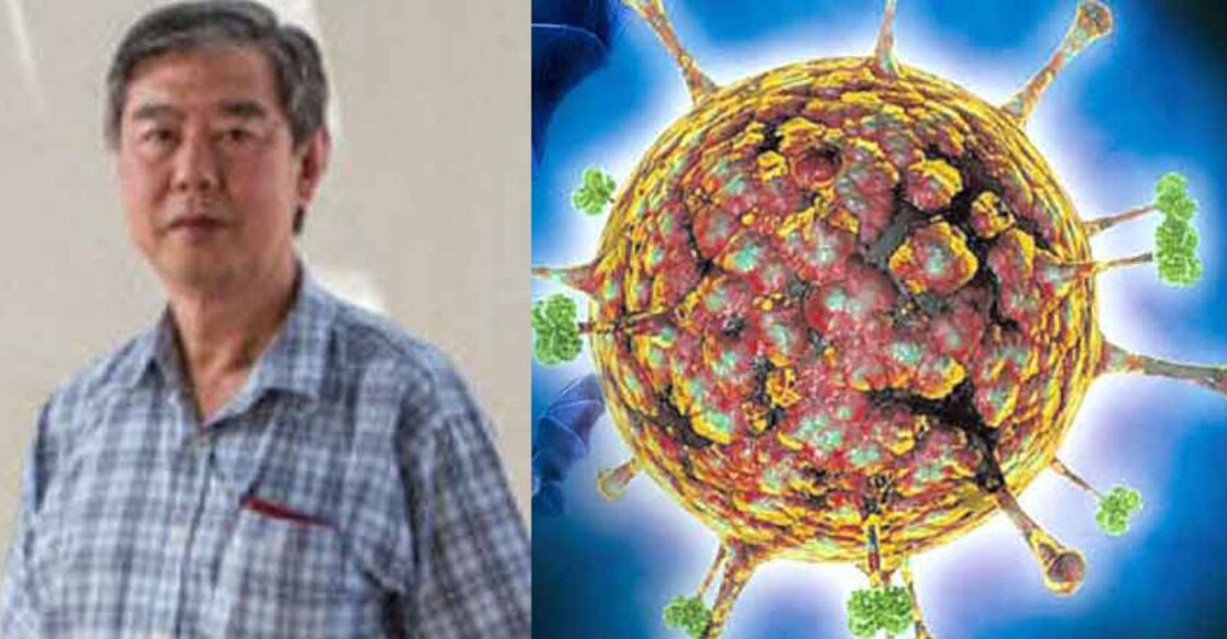Tracing the origin of Nipah Tracing the origin of Nipah