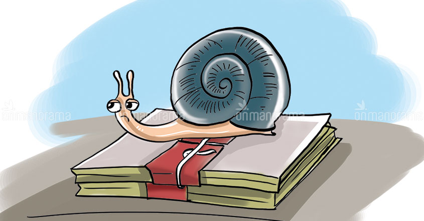 Another business venture entangled in red tape