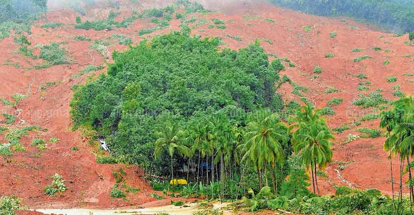 'Island of luck' emerges from Kerala's landslide-hit Kavalapara