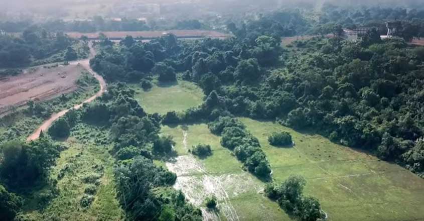 Kochi's last green lung, a 72-acre Kalamassery stretch, is in peril Kochi's last green lung, a 72-acre Kalamassery stretch, is in peril