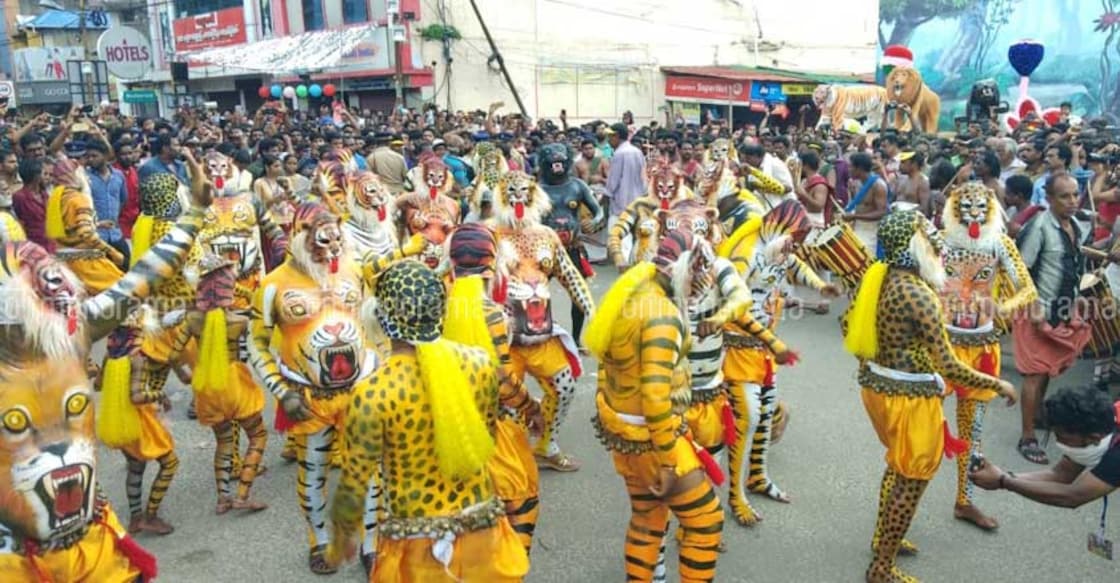 Thrissur all set to welcome the fierce tigers Thrissur all set to welcome the fierce tigers