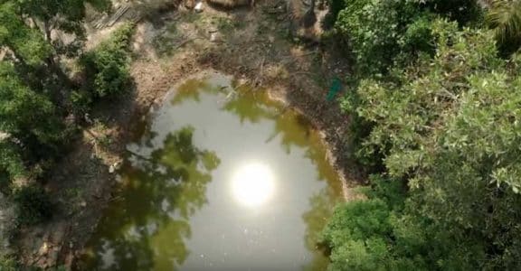 Kochi's last green lung, a 72-acre Kalamassery stretch, is in peril Kochi's last green lung, a 72-acre Kalamassery stretch, is in peril