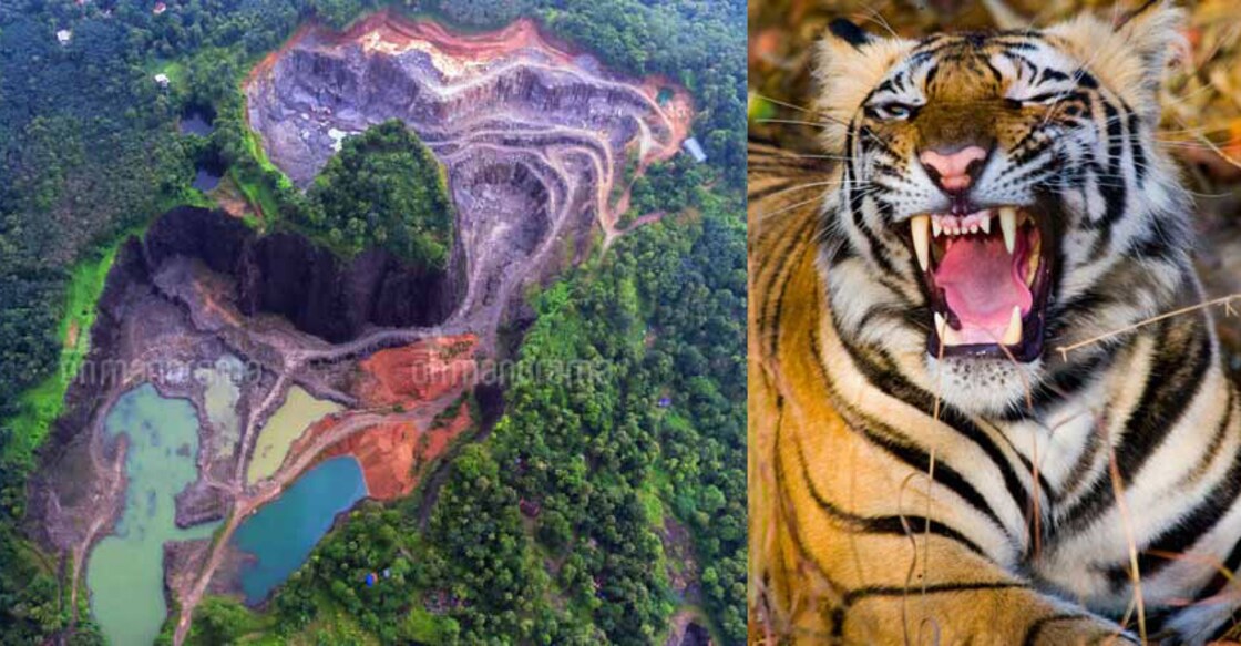 Quarries near Parambikulam Tiger Reserve, authorities refuse to budge