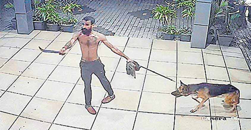 Terror in Thrissur bar as armed youths let loose dogs