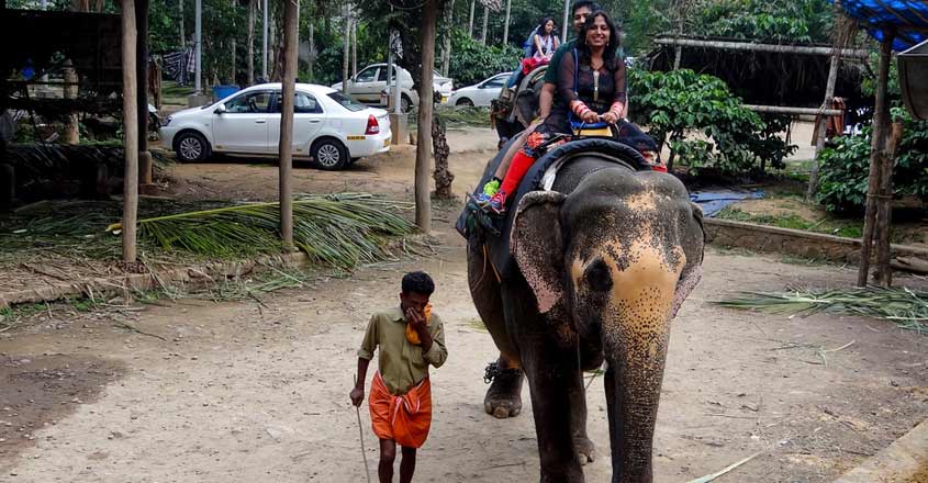 elephant-safari-shutterstock elephant-safari-shutterstock