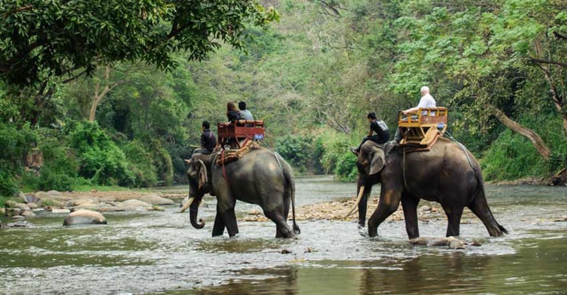 elephant-trekking-shutterstock elephant-trekking-shutterstock