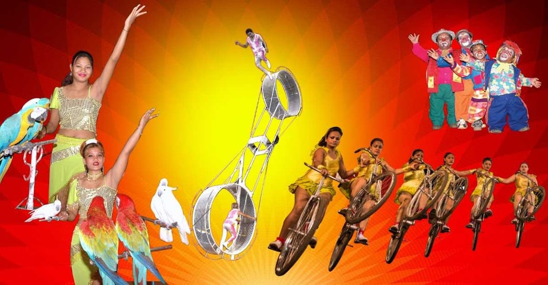 Circus artistes on a tightrope walk: Blame it on lockdown, demonetisation & animal ban