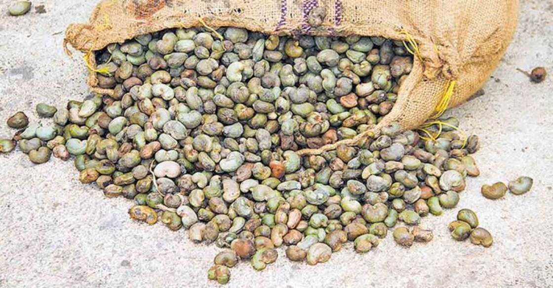 Cashew graft | Secretary packed off soon after endorsing CBI prosecution