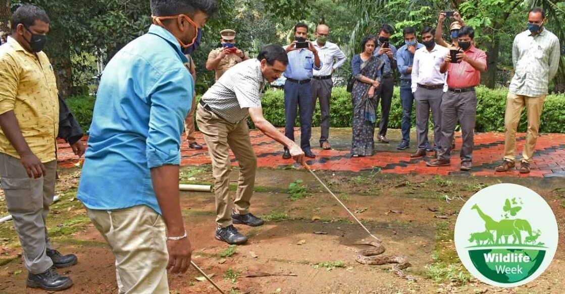 Snake-handling training by Forest Dept officials