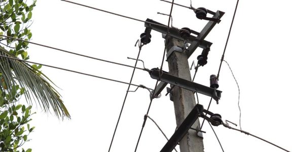 Activity spurred by lockdown fatigue could have led to a surge of electrocutions in Kerala Activity spurred by lockdown fatigue could have led to a surge of electrocutions in Kerala