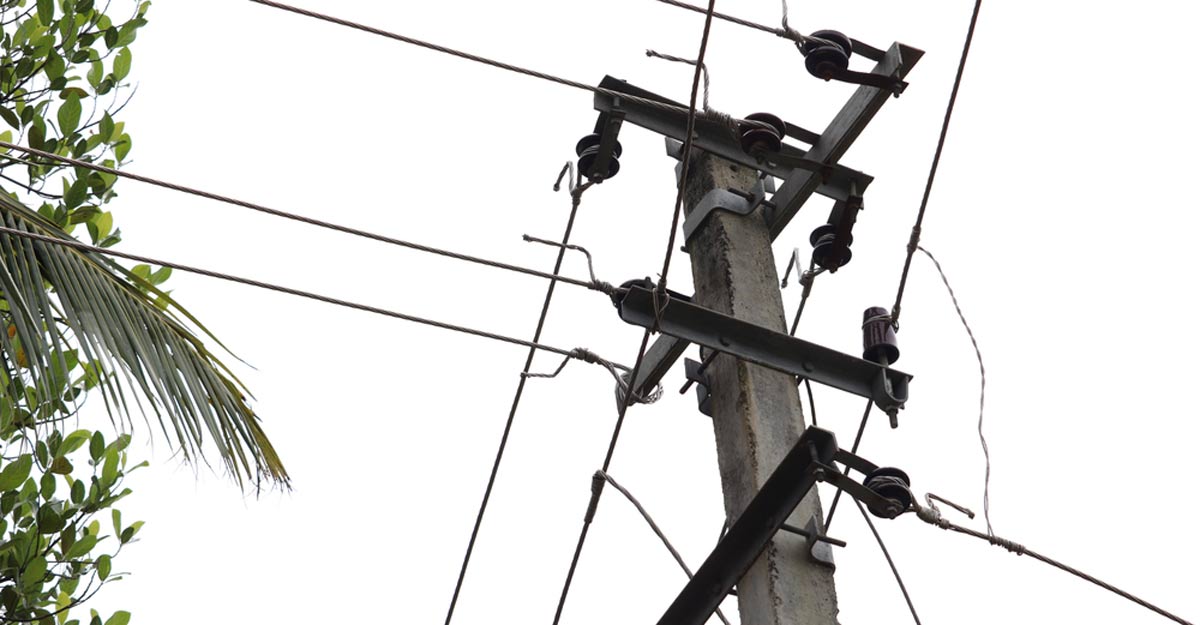 Activity spurred by lockdown fatigue could have led to a surge of electrocutions in Kerala 
