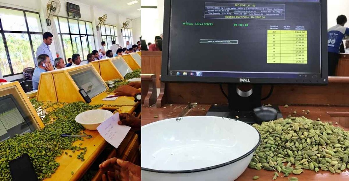 Centre's much-criticised new farm laws a blessing in disguise for Kerala's cardamom farmers