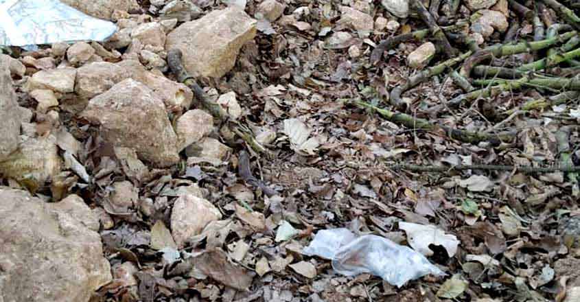 14 bullets packed in plastic bag found from roadside in Kerala