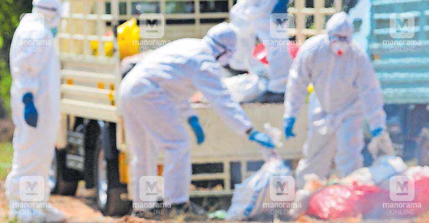 Bird flu: 2,060 more birds culled in Kozhikode | Kerala News | English ...