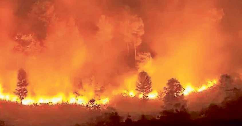 'Manorama Online' web series on forest fires