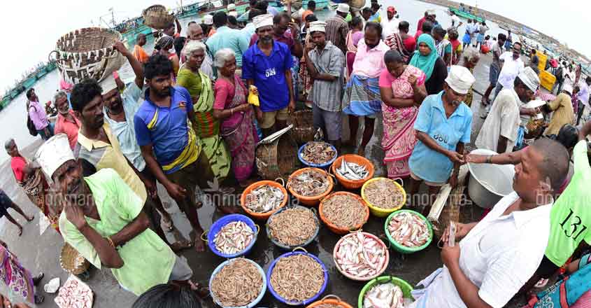 Opinion | Coronavirus should drive Kerala to adopt sustainable marine fishing practices Opinion | Coronavirus should drive Kerala to adopt sustainable marine fishing practices