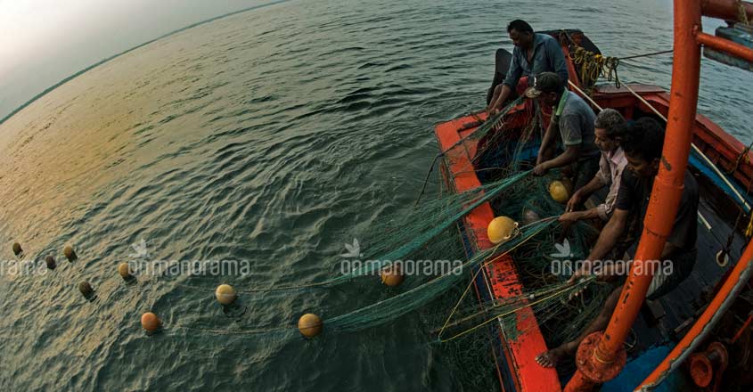 Opinion | Coronavirus should drive Kerala to adopt sustainable marine fishing practices Opinion | Coronavirus should drive Kerala to adopt sustainable marine fishing practices
