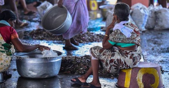 To make fishers 'Atmanirbhar', India should re-vision small-scale harvesting post-lockdown To make fishers 'Atmanirbhar', India should re-vision small-scale harvesting post-lockdown