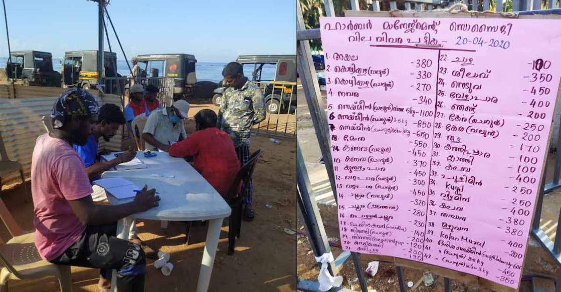 How small fishers in Kerala's Poonthura benefited from COVID time auction system