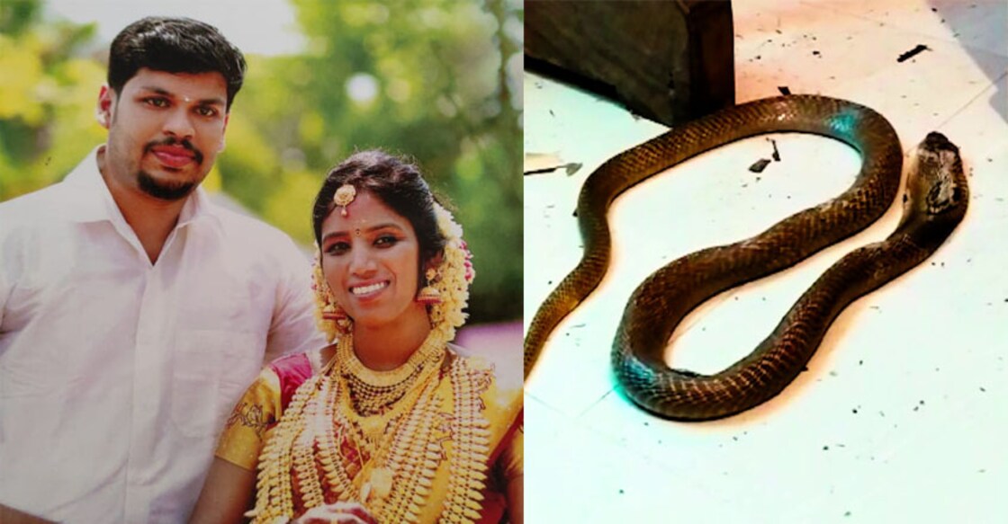 Snakebite death of young woman: Husband admits to murder, 3 arrested