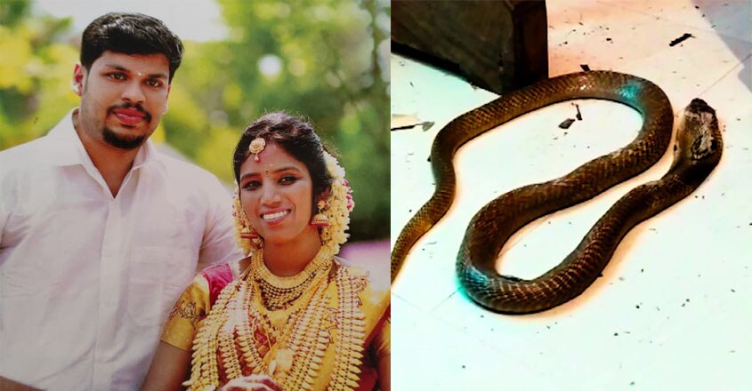 Snakebite death of young woman: Husband admits to murder, 3 arrested