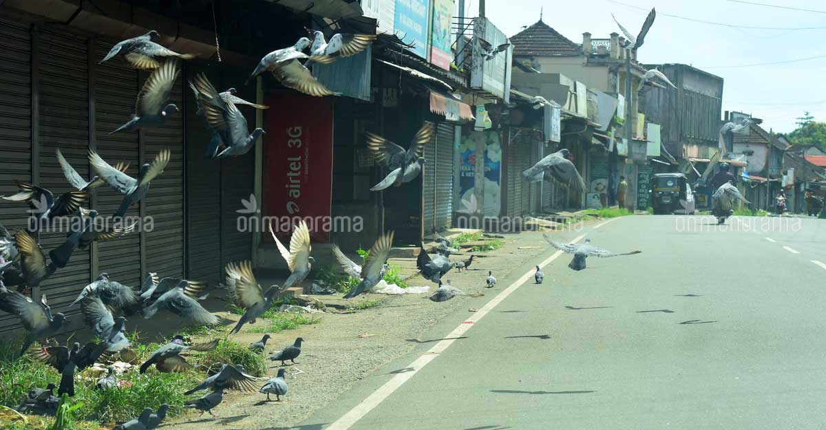 What happened in Kerala after a promising start to the fight against COVID-19 What happened in Kerala after a promising start to the fight against COVID-19