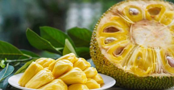 Jackfruit Jackfruit