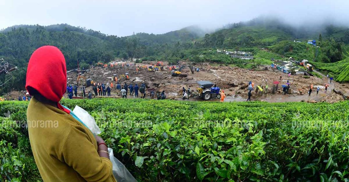 Forest Department traces source of Pettimudi disaster to Kurisumala 