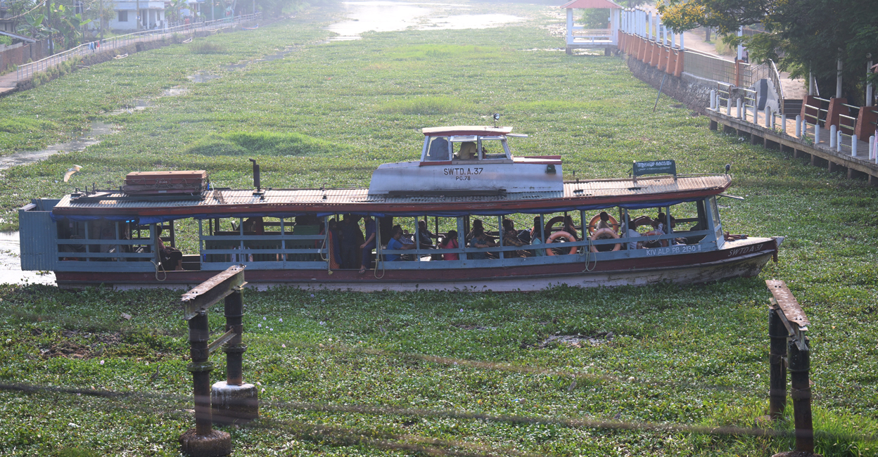 boat-water-hyacinth-kottayam A boat stuck in a weed-infested water body in Kerala. Photo for representational purpose: Manorama