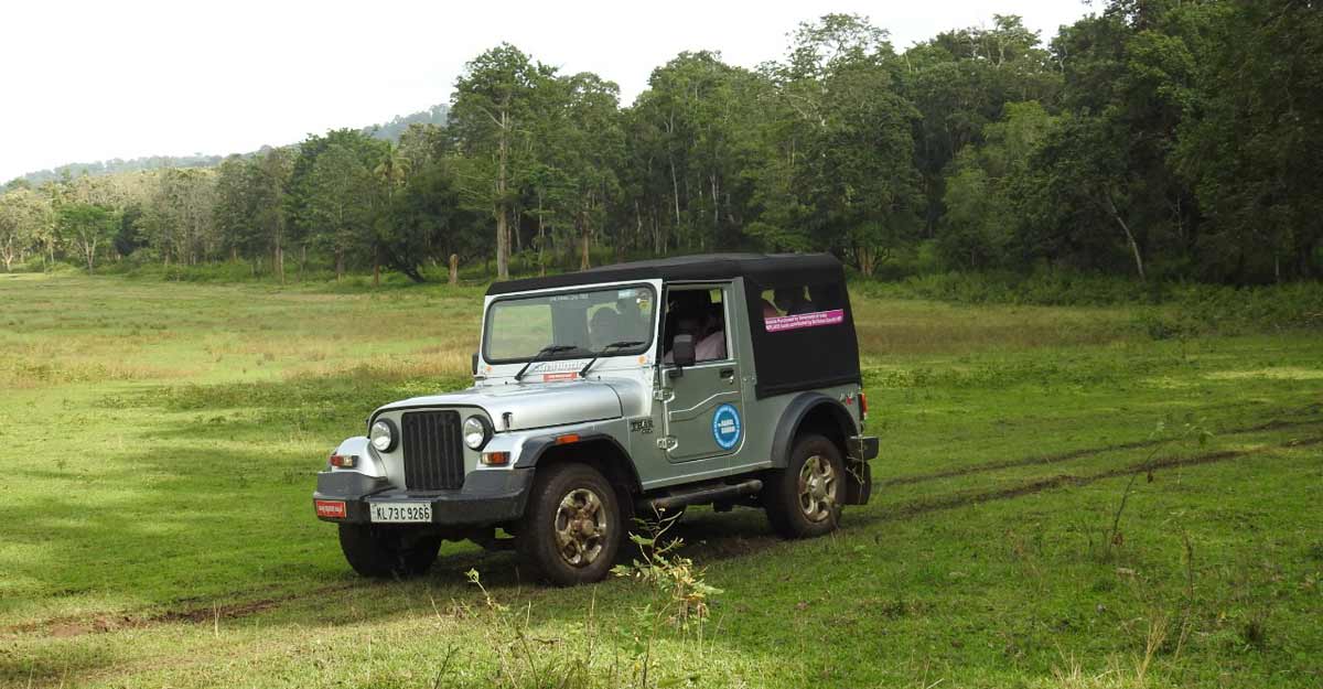 thar-wayanad thar-wayanad