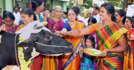 Tamil Nadu celebrates Pongal with fervour