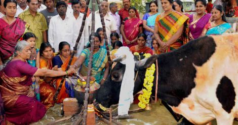 Tamil Nadu celebrates Pongal with fervour