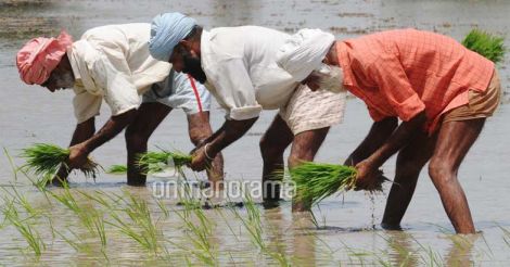 Punjab farmers