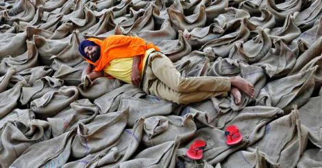 Farmer sleeps on paddy