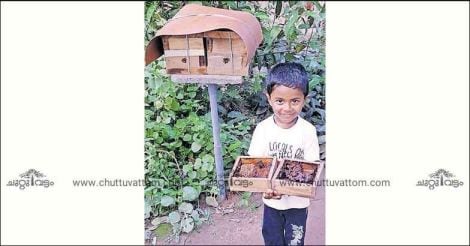 Thachampara apiculturists' honey-sweet success story